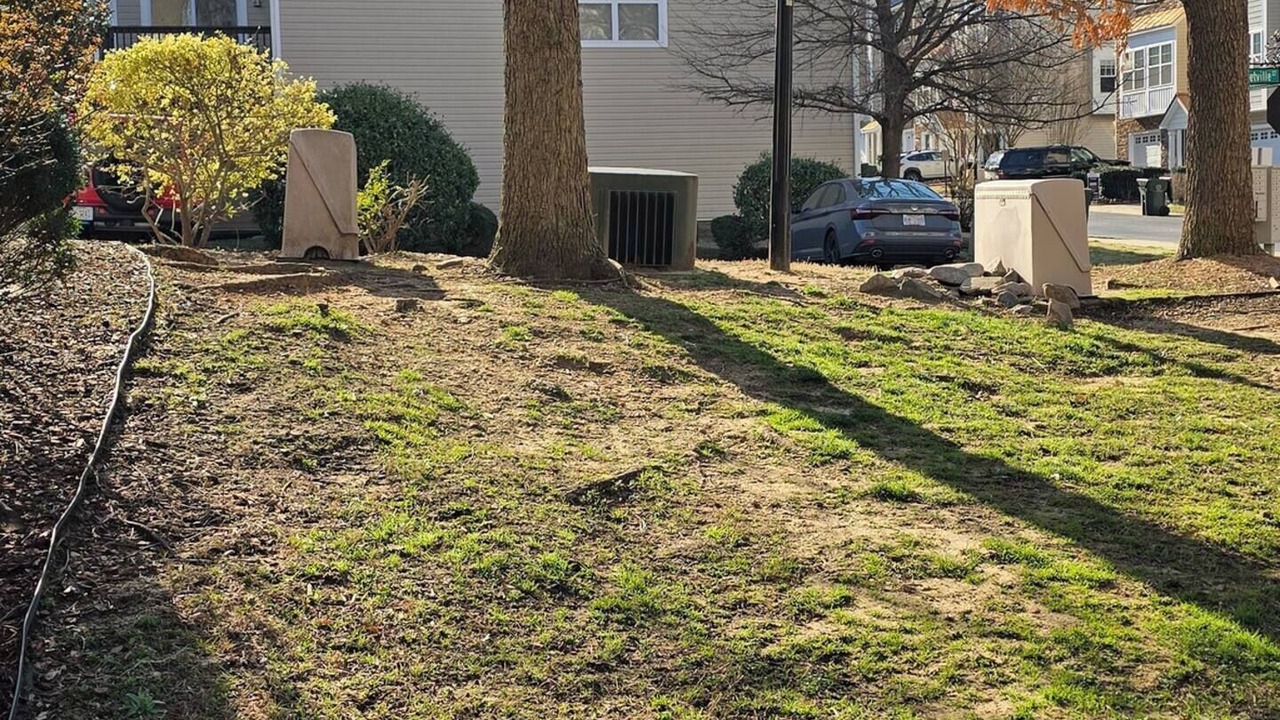 Photo of Outdoor in North Raleigh
