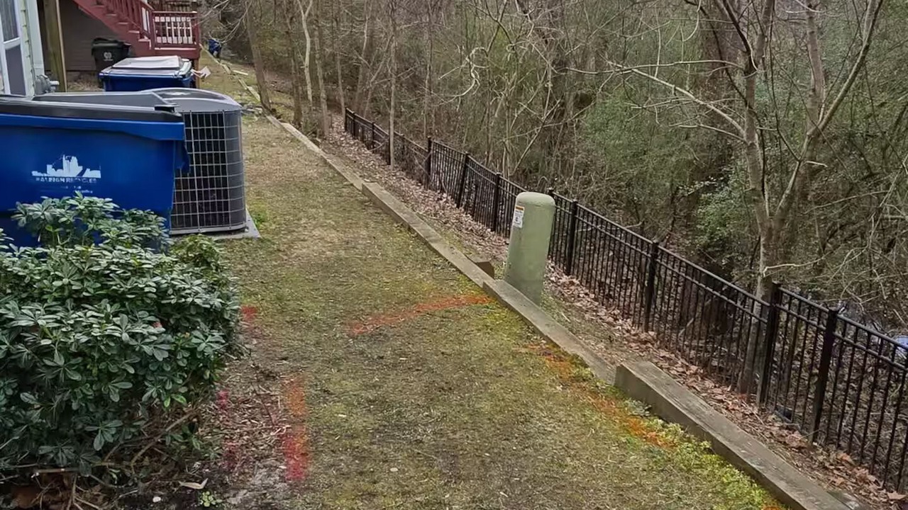Photo of Outdoor in North Raleigh