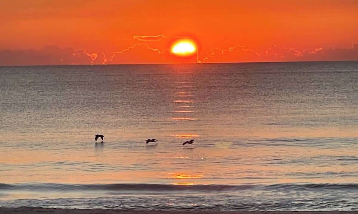Photo of Others in Kure Beach