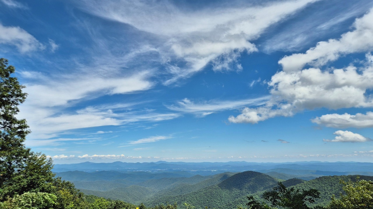 Photo of Others in Candler