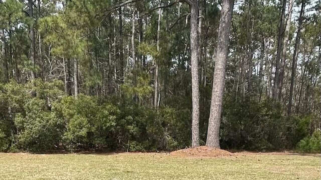 Photo of Others in Swansboro