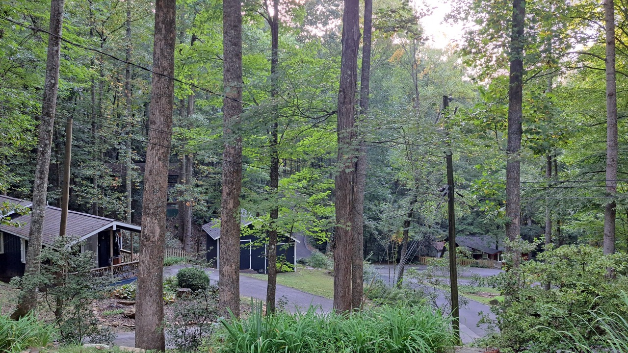 Photo of Outdoor in Penrose