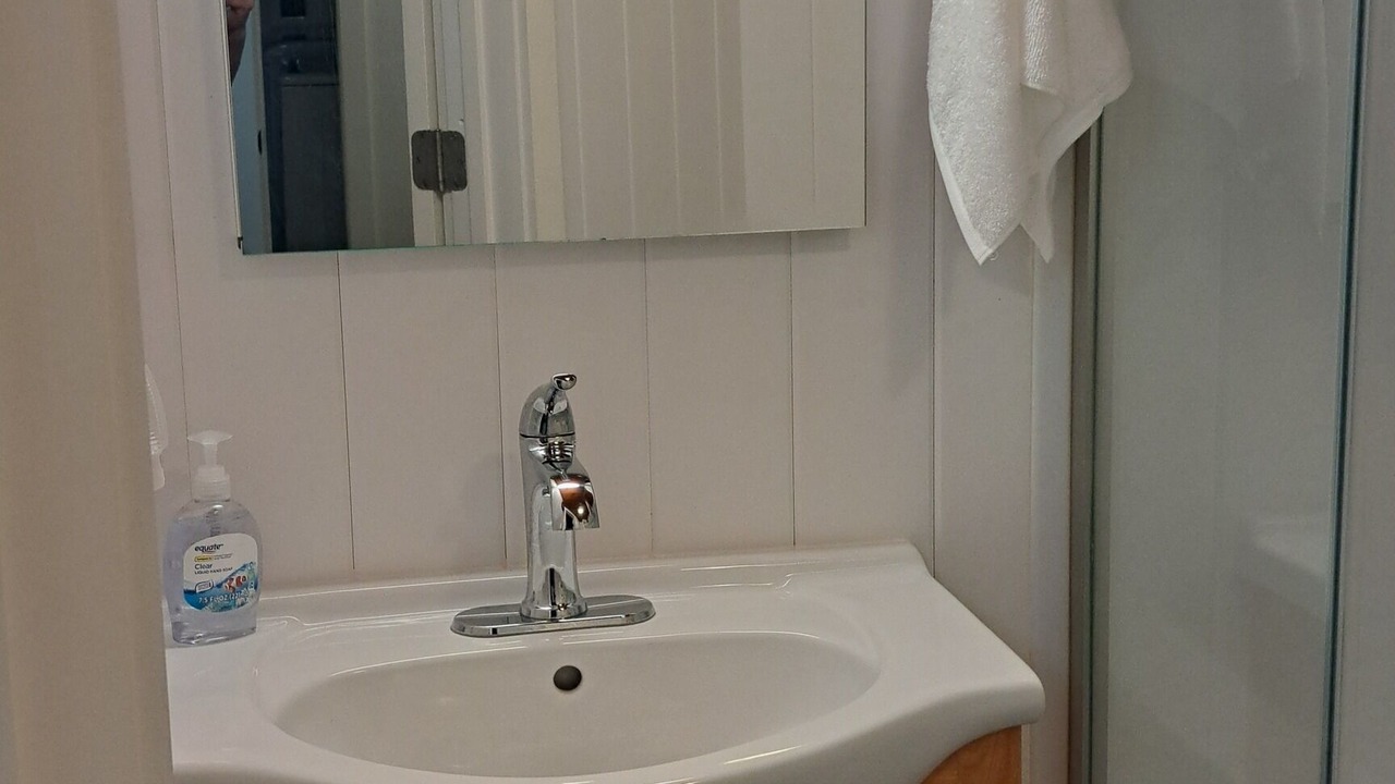 Photo of Bathroom in Penrose