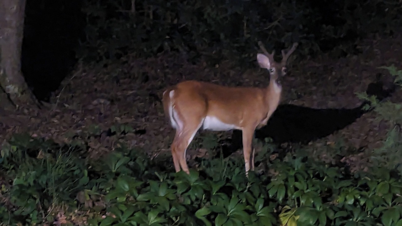 Photo of Others in Reidsville