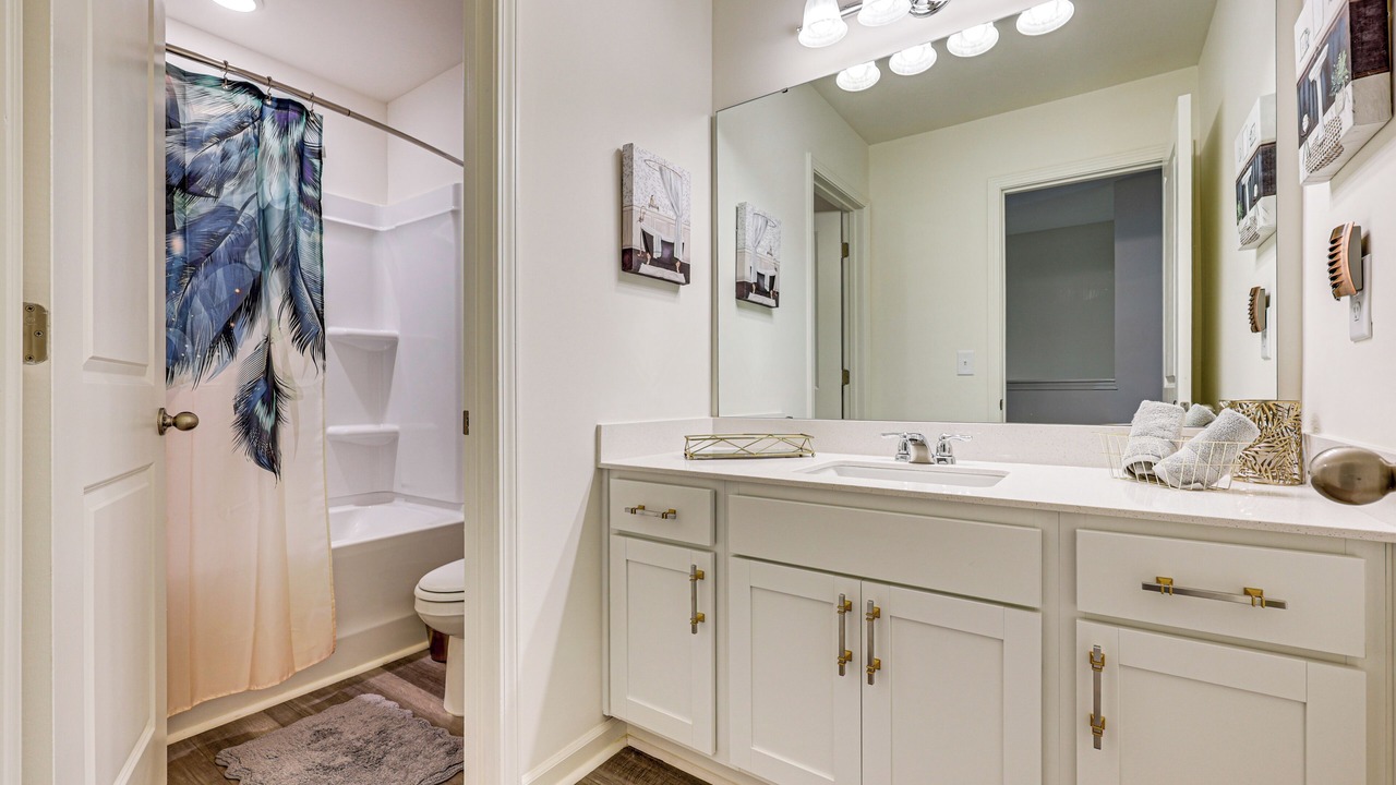 Photo of Bathroom in Wilson County