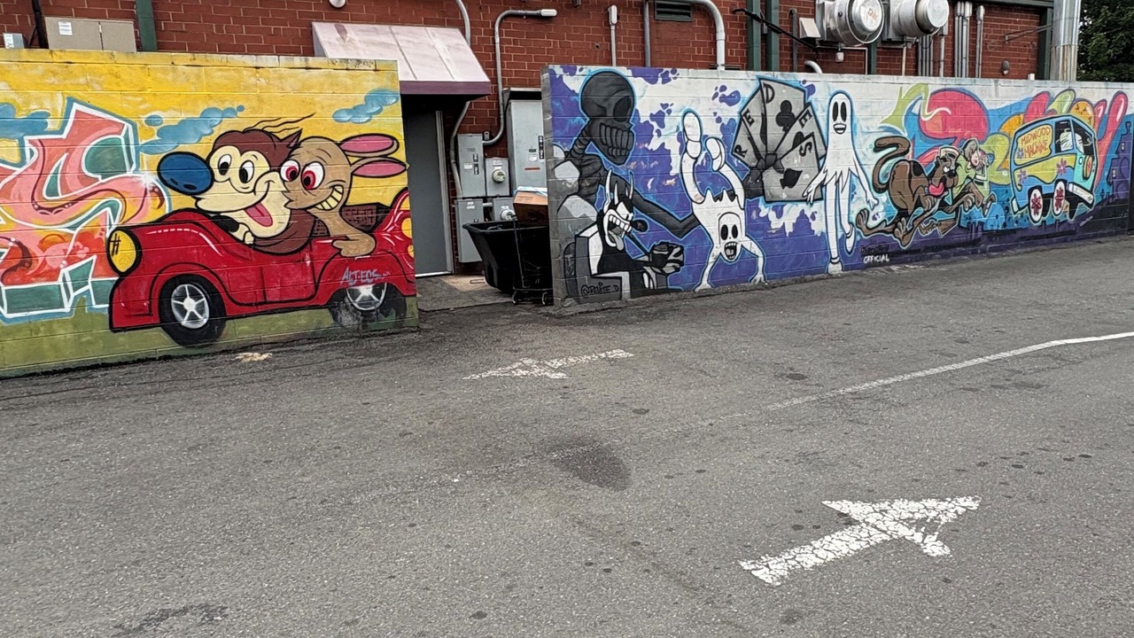 Photo of Outdoor in Plaza Midwood