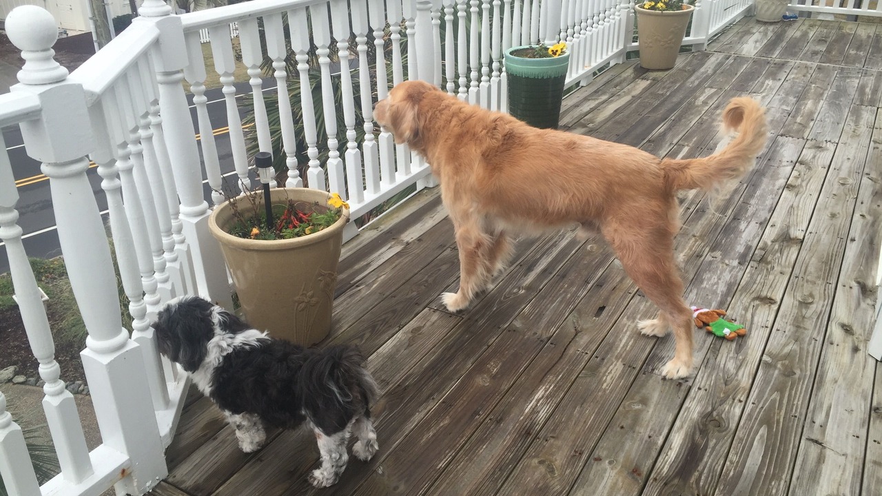Photo of Outdoor in Kure Beach