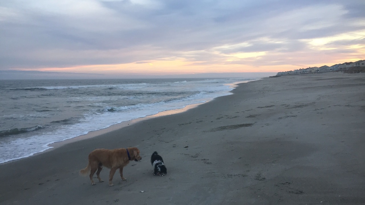 Photo of Others in Kure Beach
