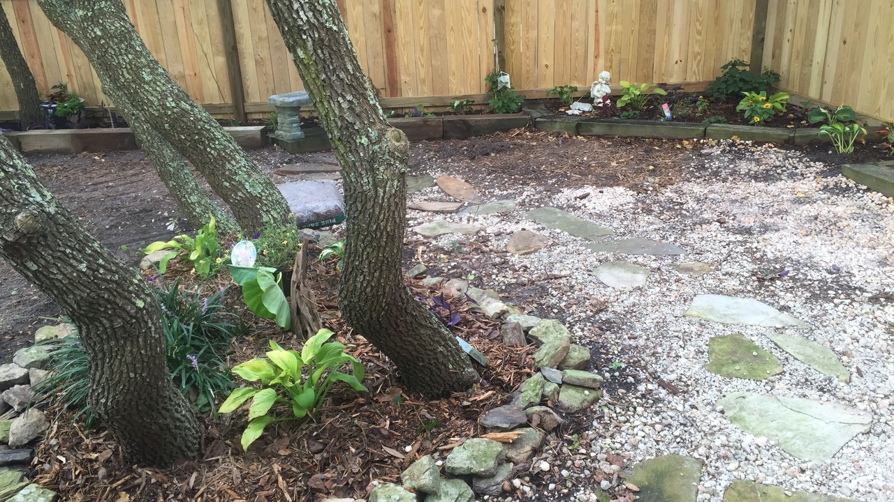 Photo of Outdoor in Kure Beach