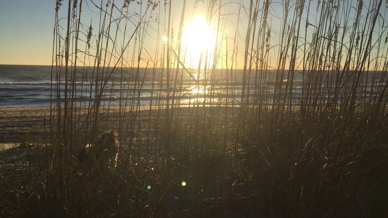 Photo of Others in Kure Beach