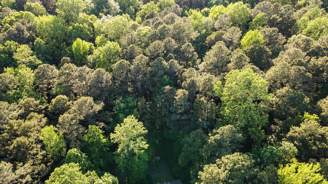 Photo of Outdoor in Bynum