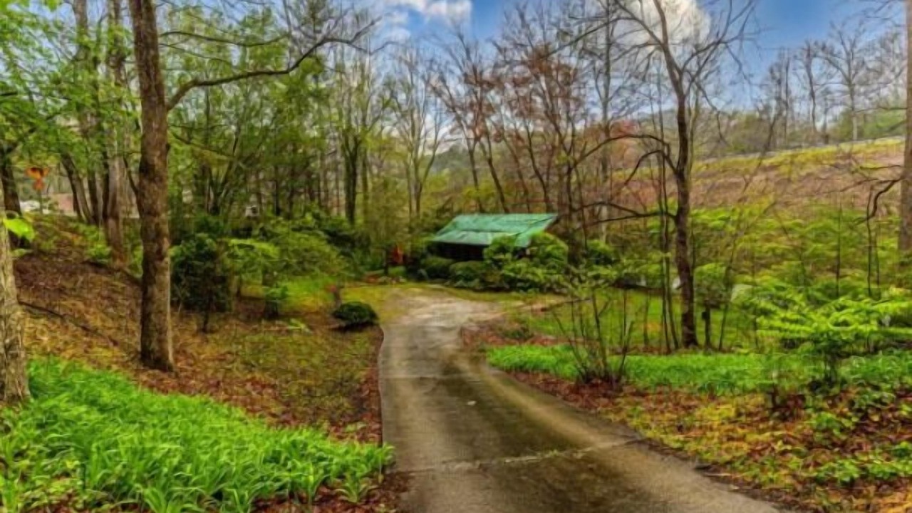 Photo of Outdoor in Bryson City