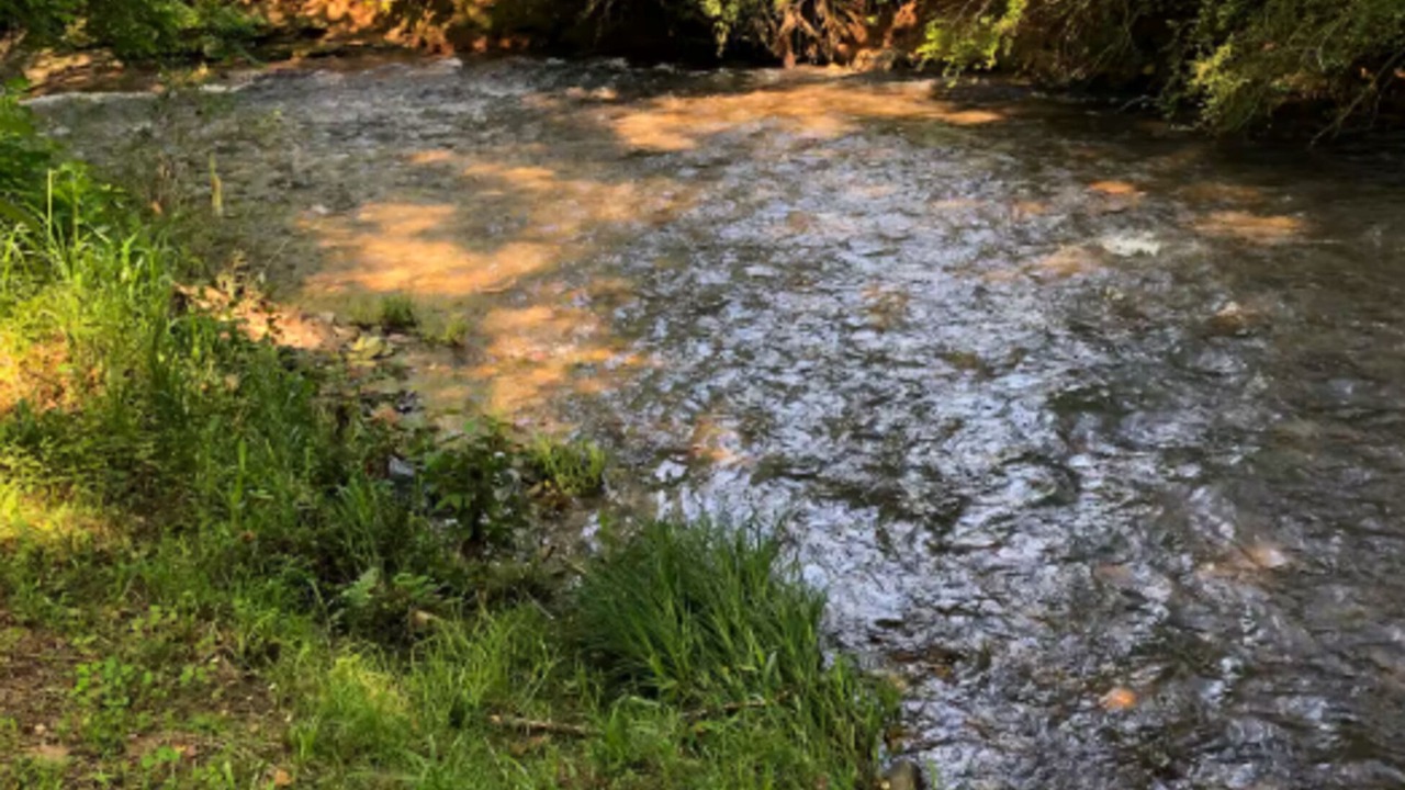 Photo of Others in Bryson City