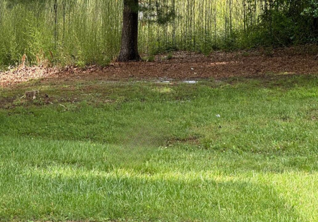 Photo of Others in Hickory