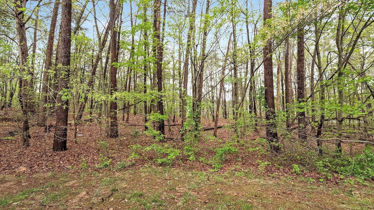 Photo of Others in Winston - Salem