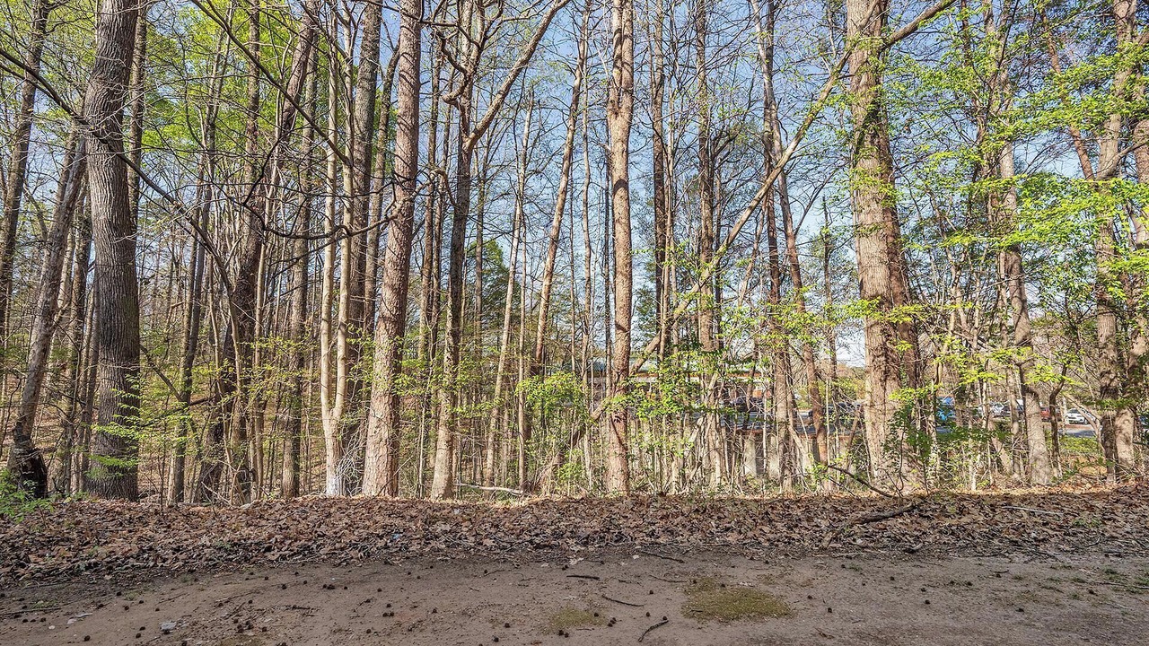 Photo of Others in Winston - Salem