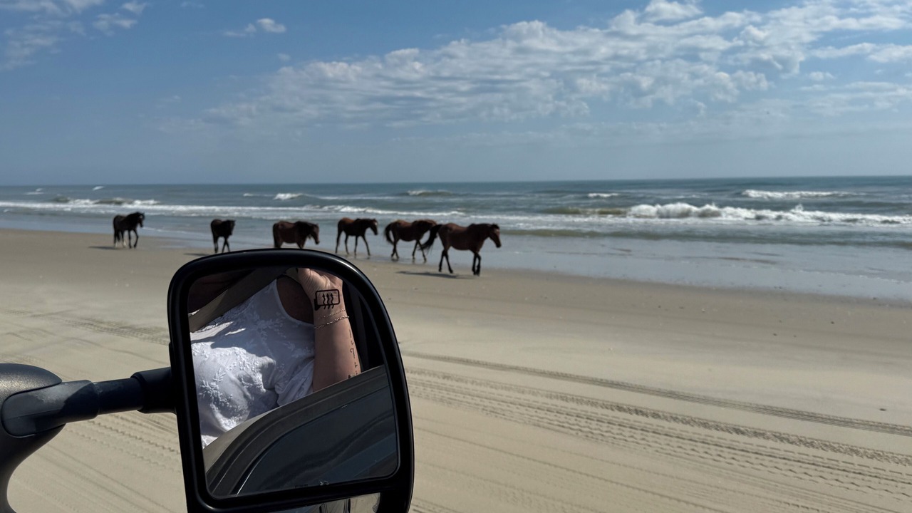 Photo of Others in Carova Beach