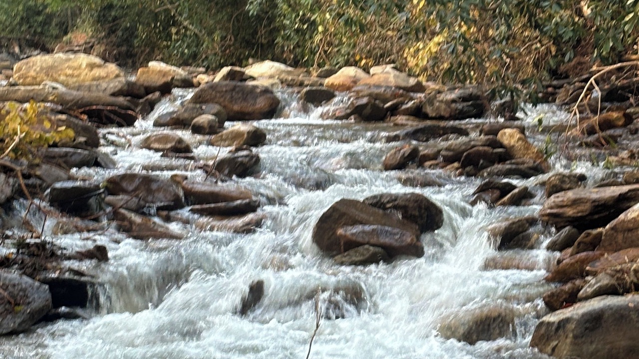 Photo of Others in McMillan Hidden Valley