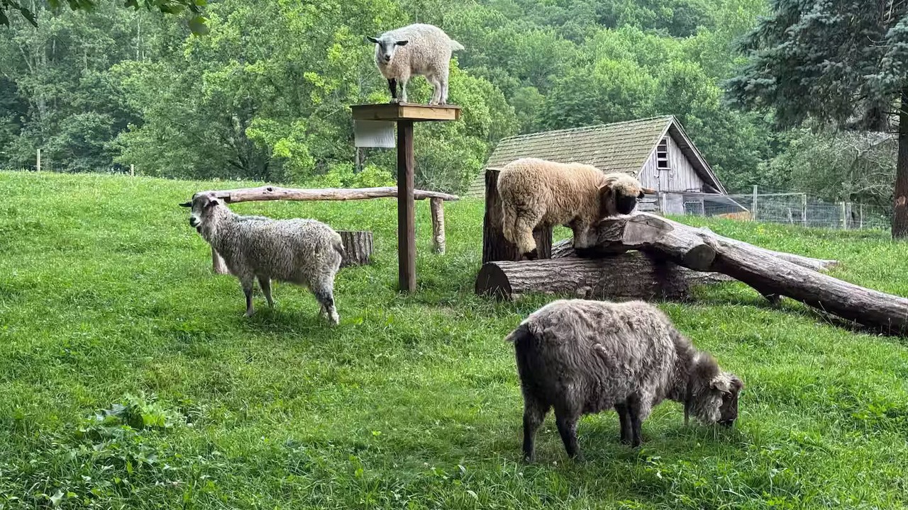 Photo of Others in Franklin
