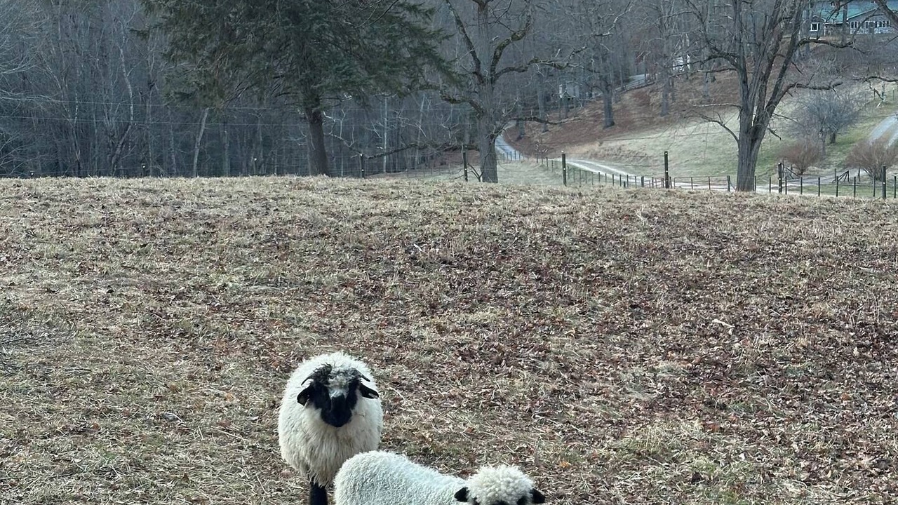 Photo of Others in Franklin