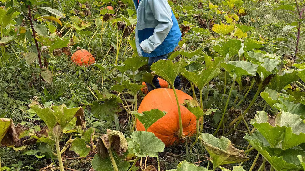 Photo of Others in Franklin