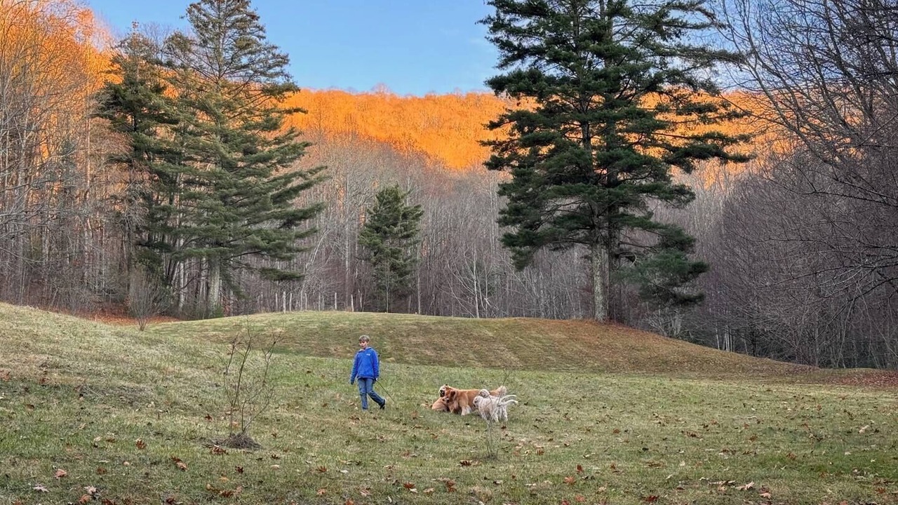 Photo of Others in Franklin
