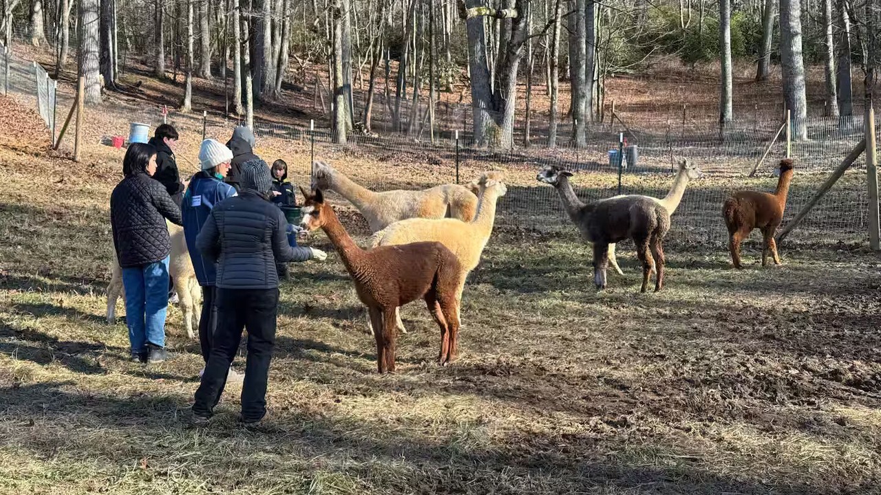 Photo of Others in Franklin