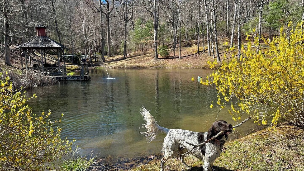 Photo of Outdoor in Scaly Mountain
