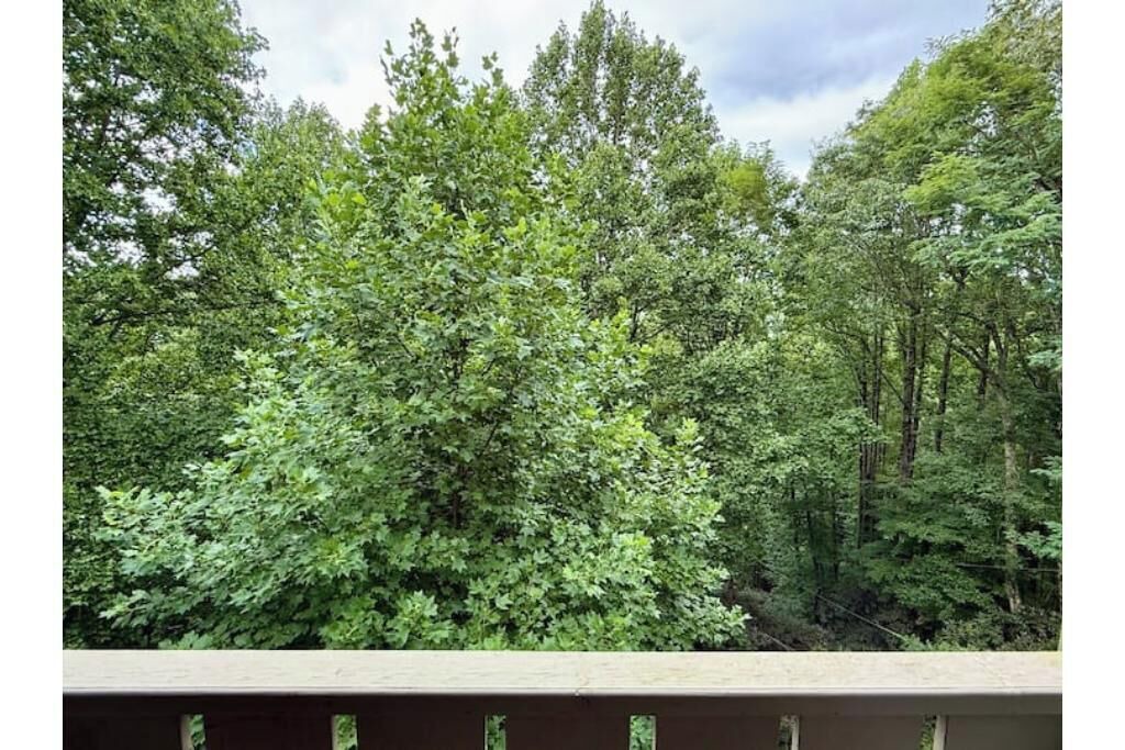 Photo of Outdoor in Laurel Park