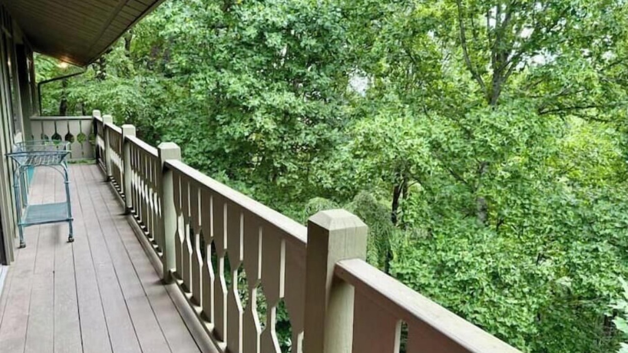 Photo of Outdoor in Laurel Park