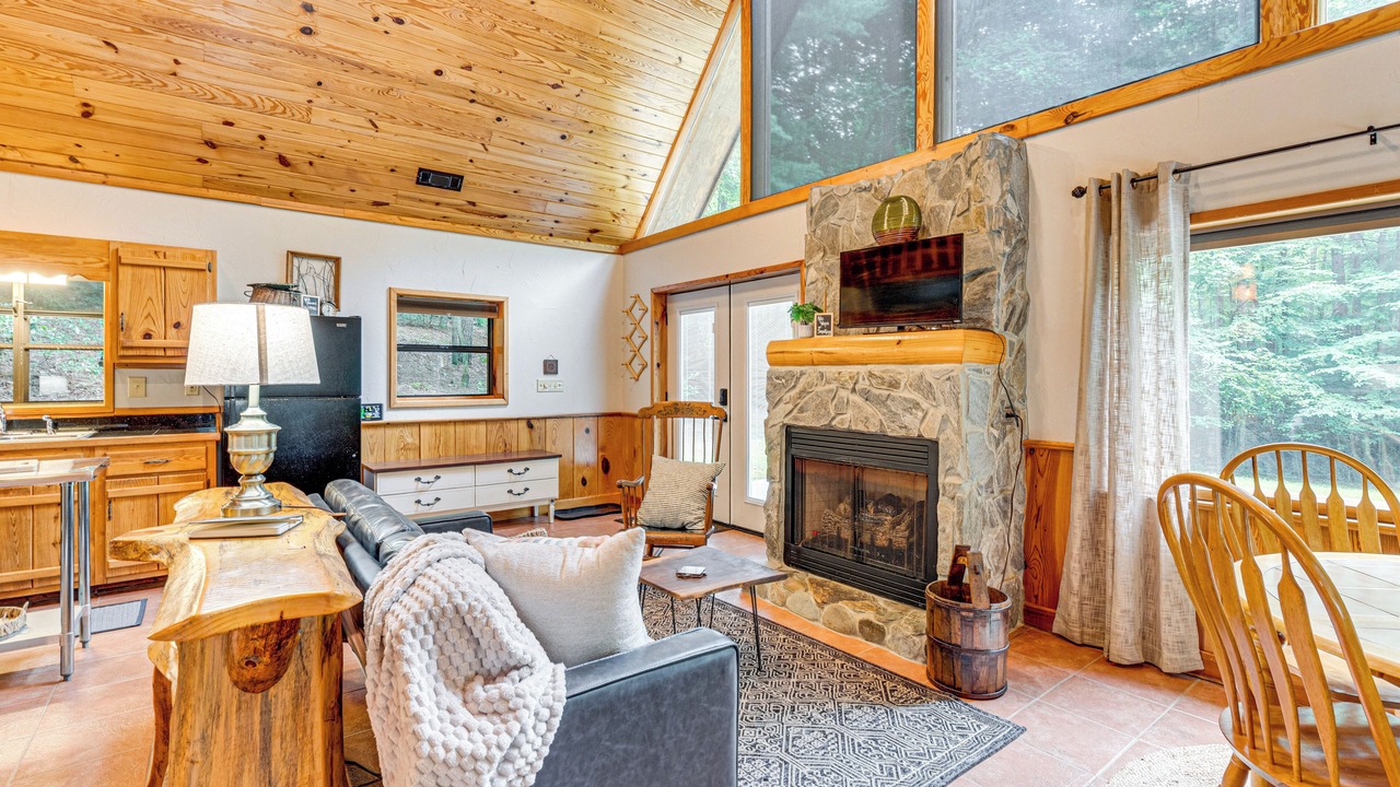 Photo of Livingroom in Indian Rock Springs