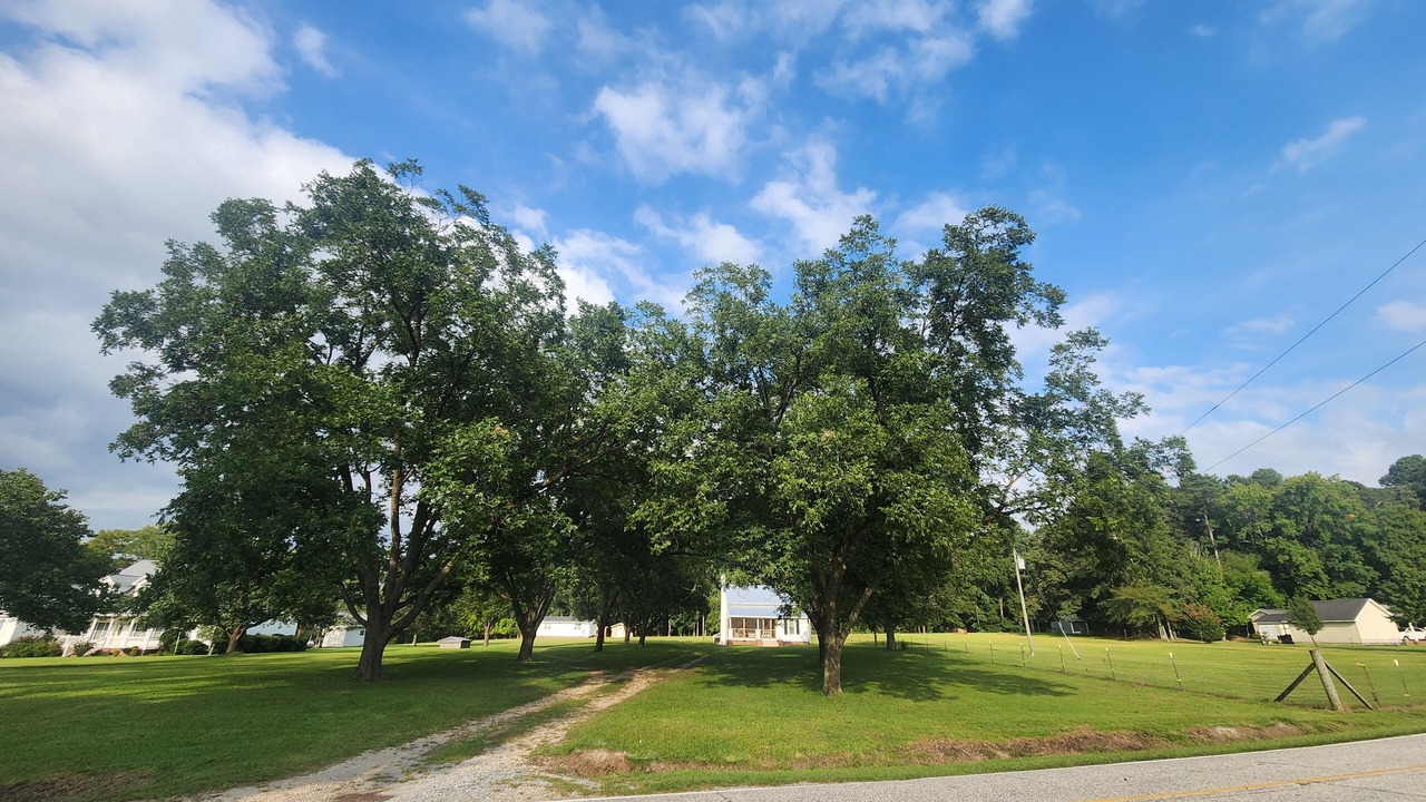 Photo of Others in Dunn