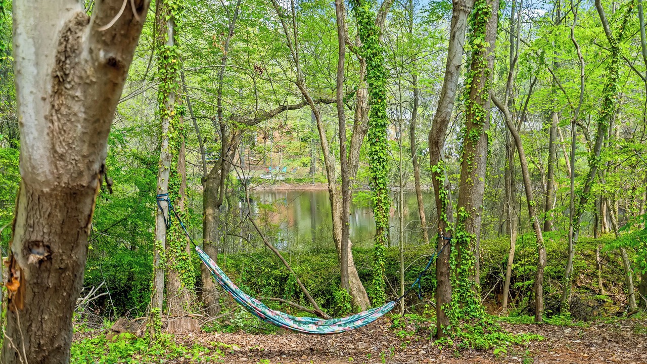 Photo of Others in Southwest Raleigh