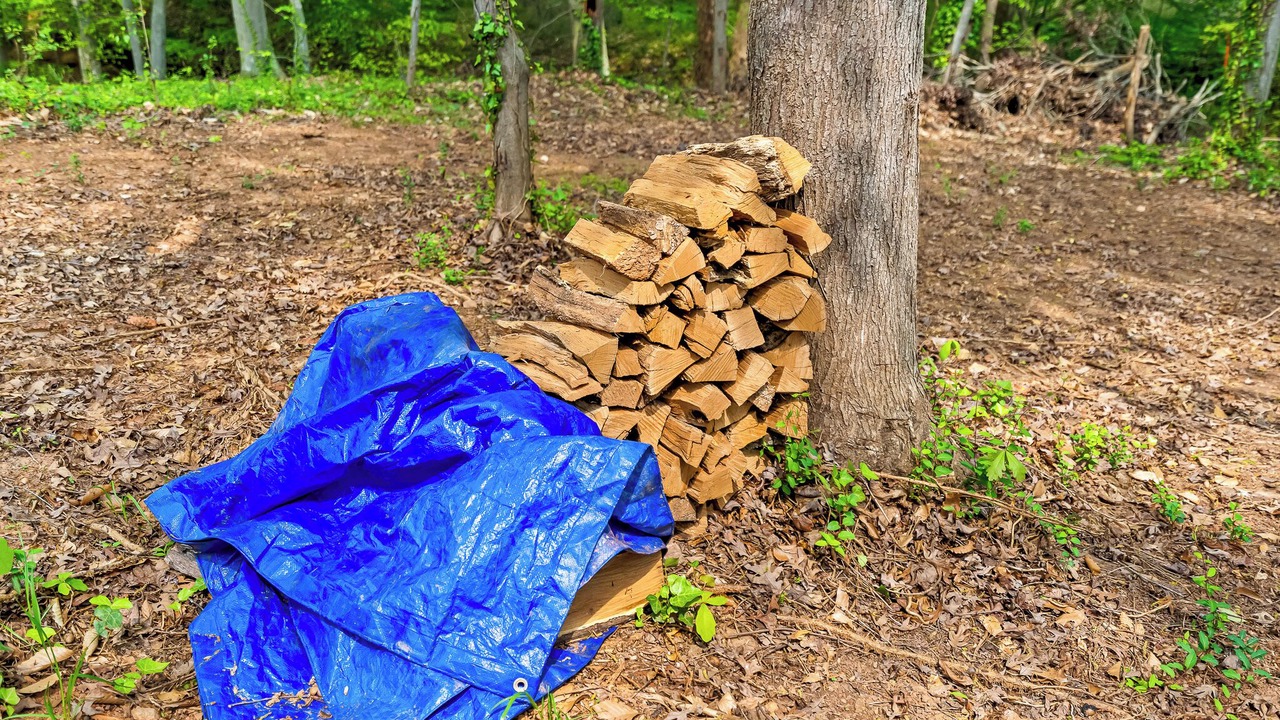 Photo of Outdoor in Southwest Raleigh
