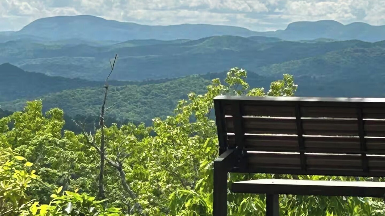 Photo of Others in Pisgah Forest