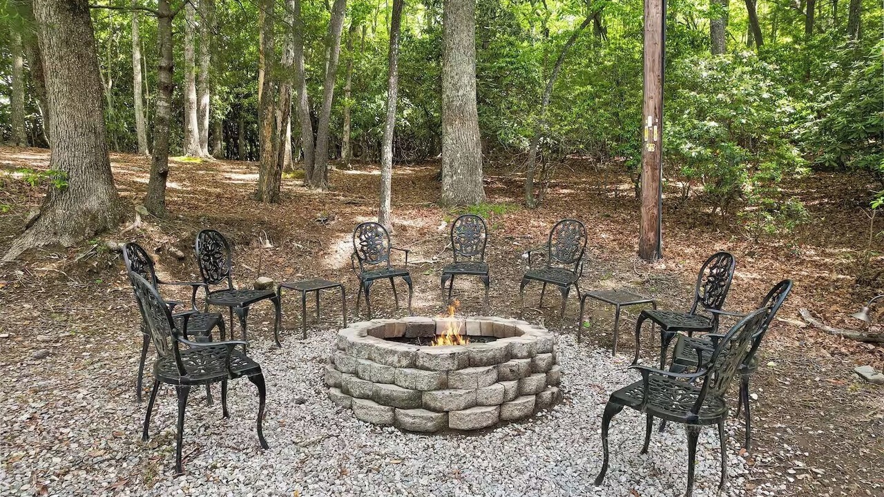 Photo of Others in Pisgah Forest