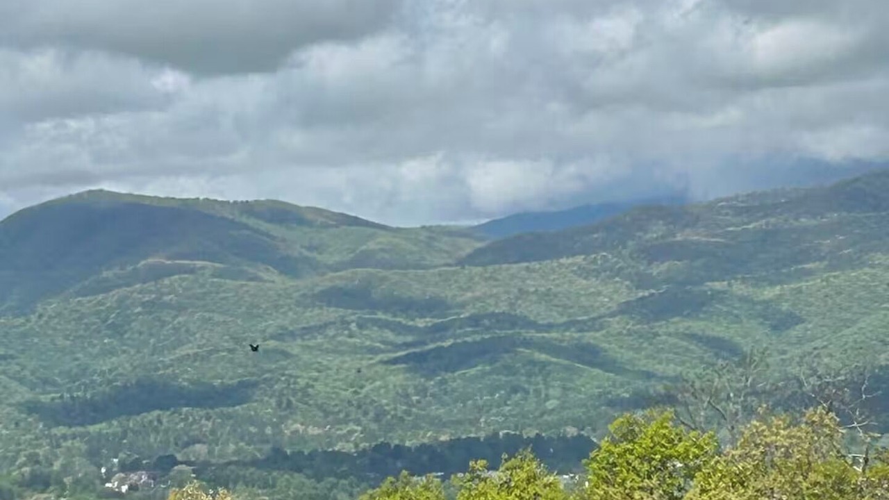 Photo of Others in Pisgah Forest