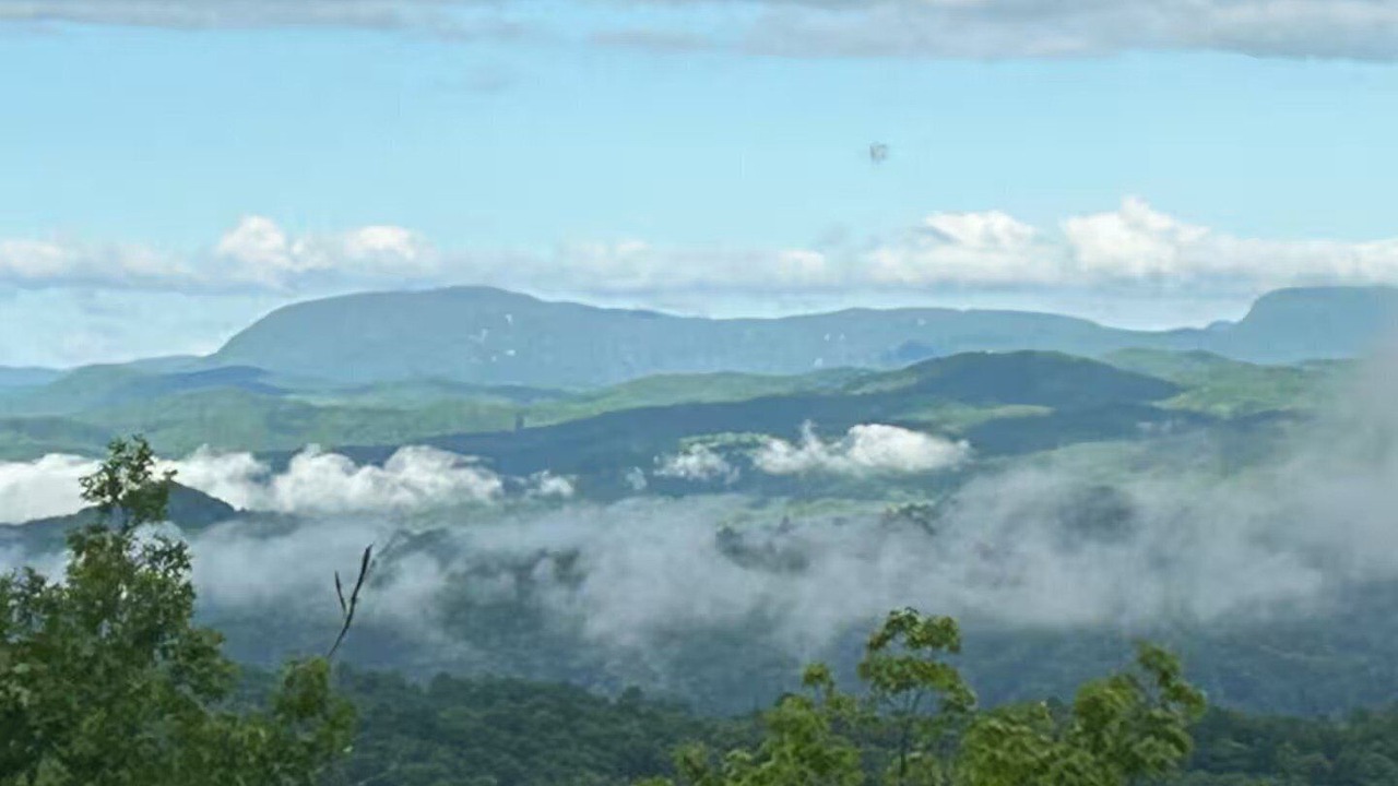 Photo of Others in Pisgah Forest