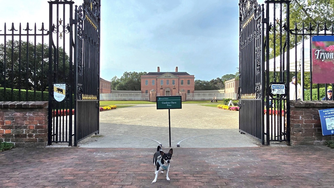 Photo of Outdoor in New Bern