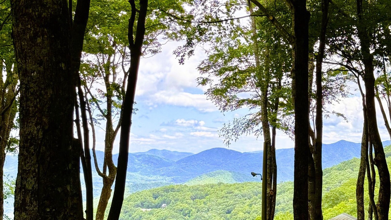 Photo of Others in Laurel Ridge