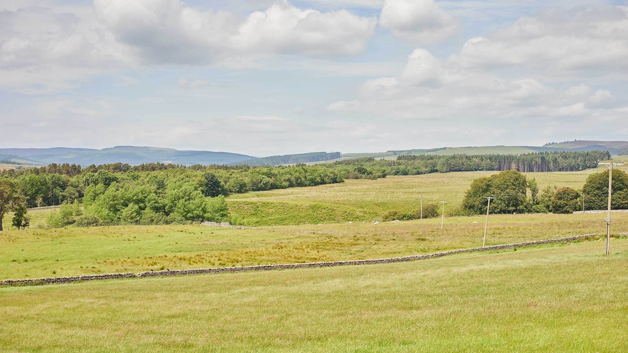 Photo of Others in Hallington