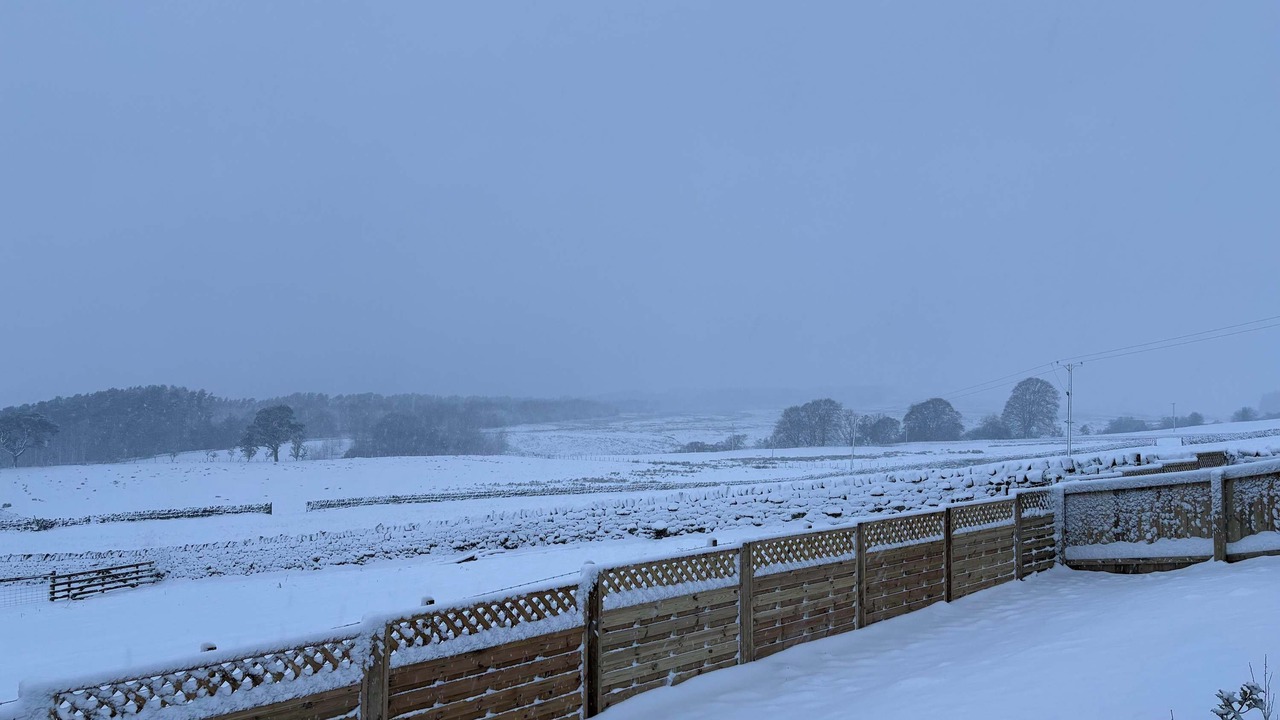 Photo of Others in Hallington