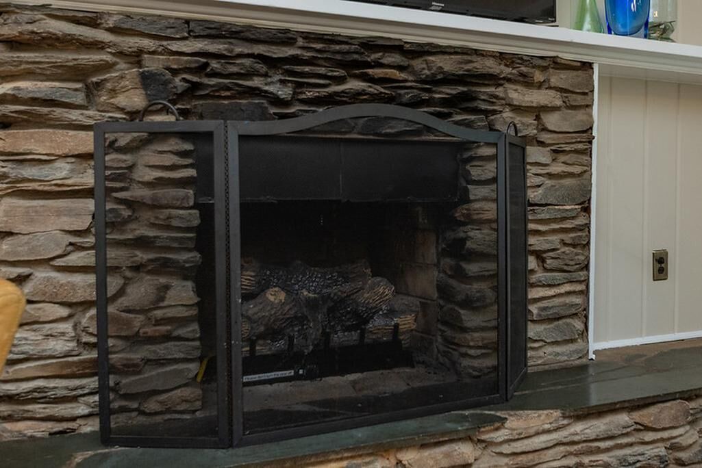 Photo of Livingroom in Mount Airy