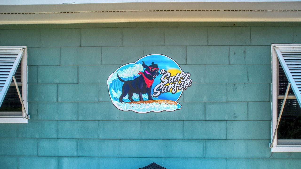 Photo of Outdoor in Topsail Beach