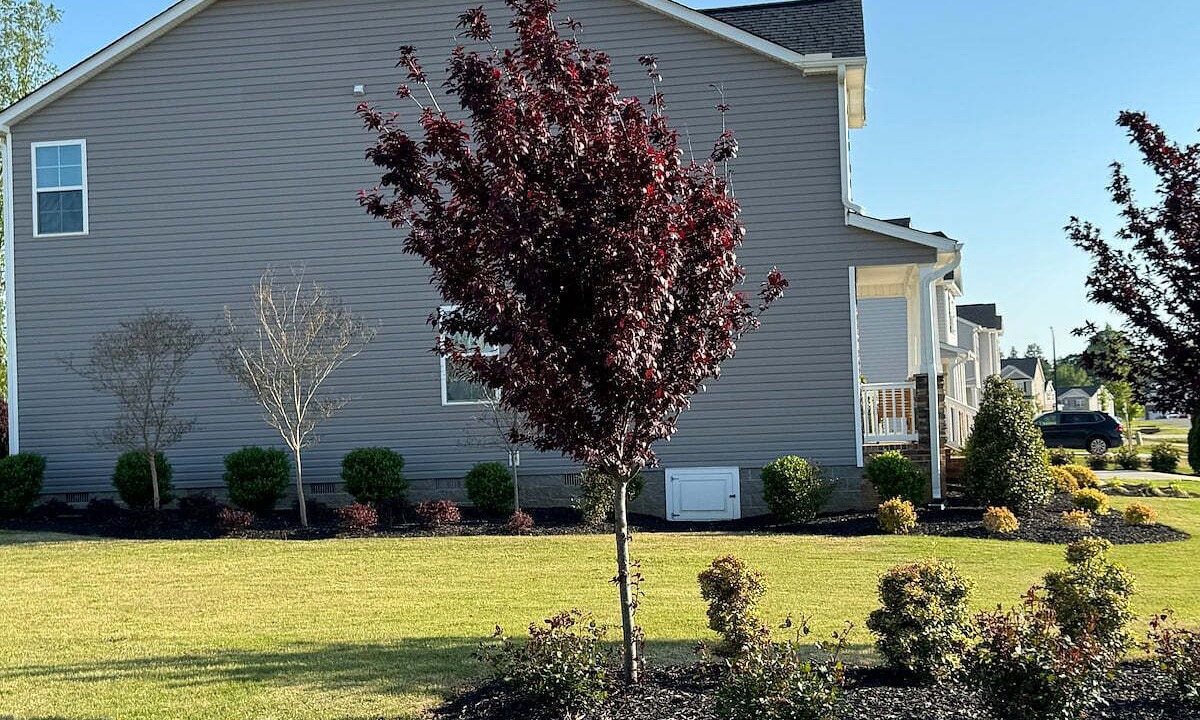 Photo of Outdoor in Mebane