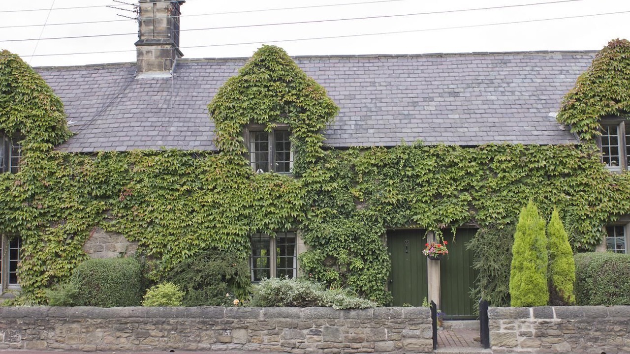 Photo of Others in Backworth