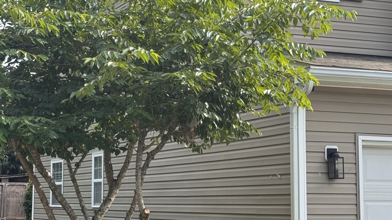 Photo of Outdoor in Southeast Raleigh