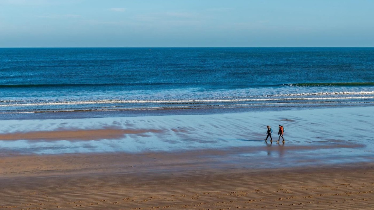 Photo of Others in Newton by the Sea