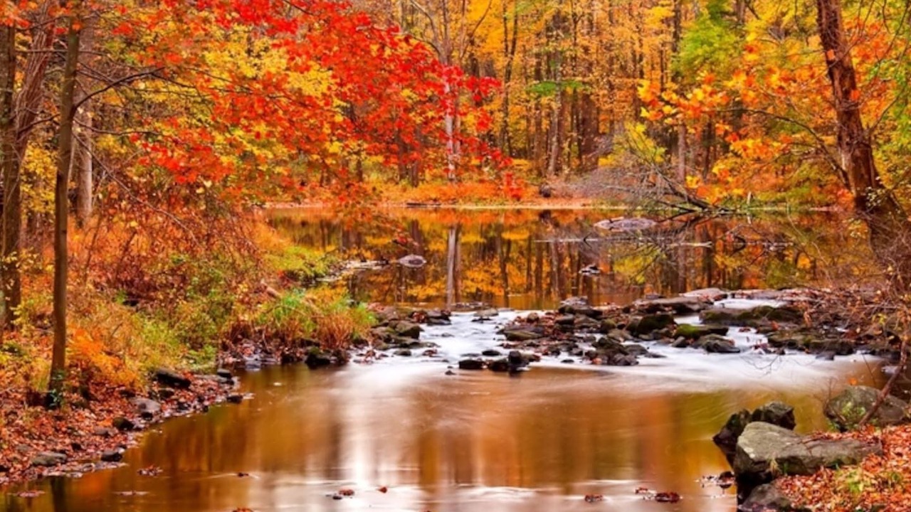 Photo of Outdoor in Lake Lure