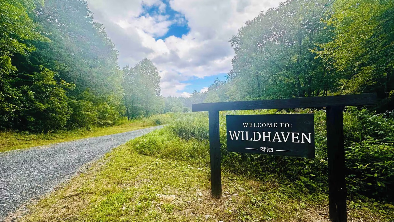 Photo of Outdoor in Newland
